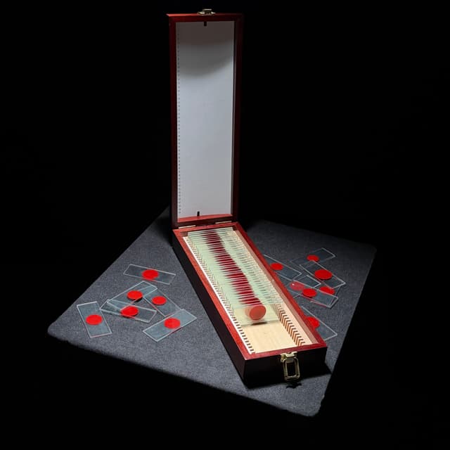 Dexter's Slide Box